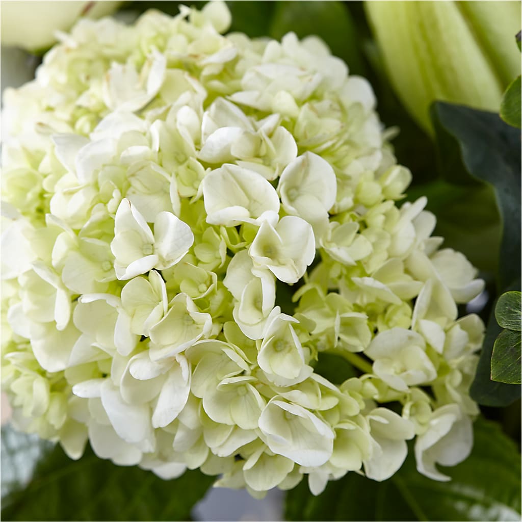 Classic Ivory – A Florist Original –  Evans-king Floral, Forty Fort PA