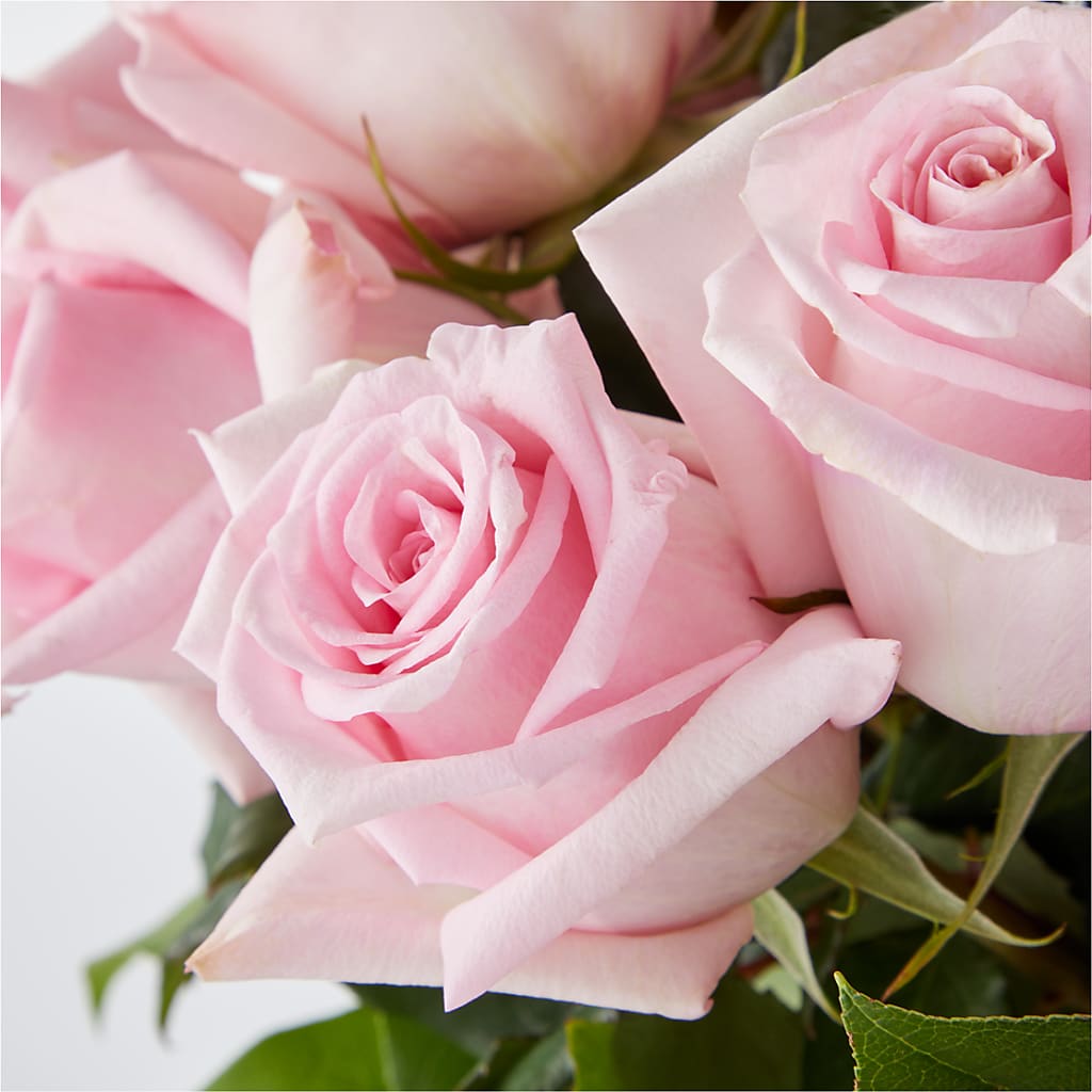 Picture Perfect Pink Rose Bouquet –  Evans-king Floral, Forty Fort PA