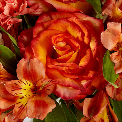 Apricot Glow Bouquet –  Evans-king Floral, Forty Fort PA