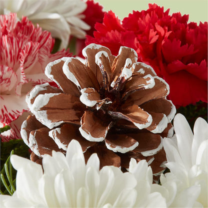Candy Cane Lane Bouquet –  Evans-king Floral, Forty Fort PA