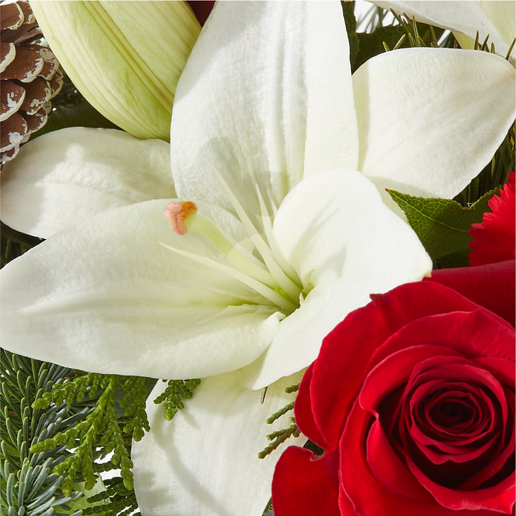 Oh So Jolly Bouquet –  Evans-king Floral, Forty Fort PA