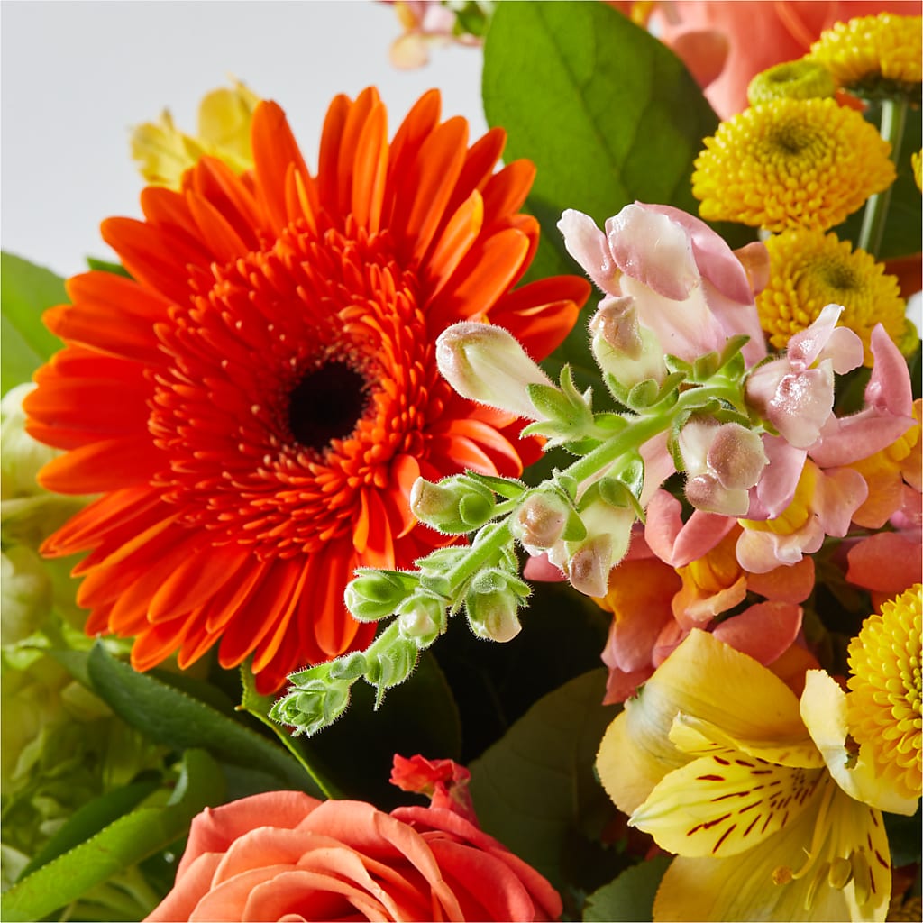 Autumn Sunshine Bouquet –  Evans-king Floral, Forty Fort PA