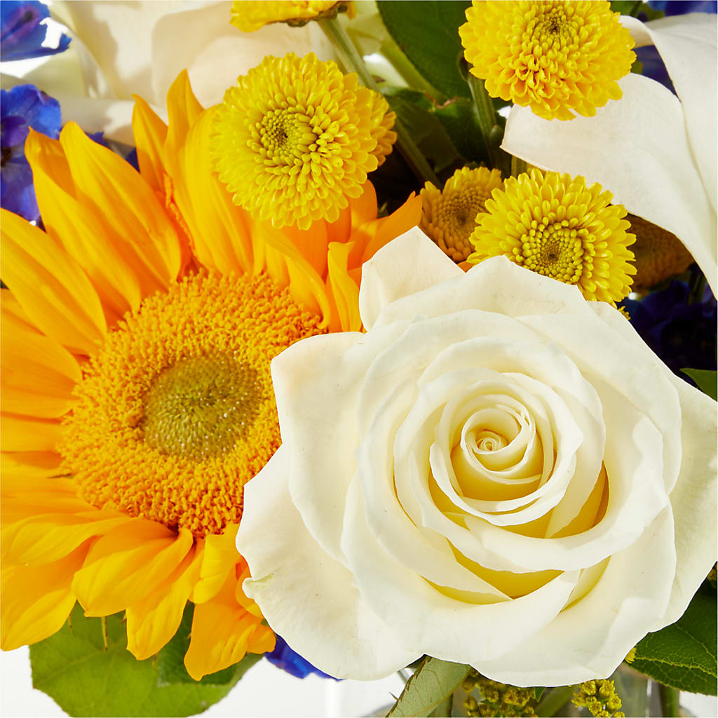 Stargazing Bouquet –  Evans-king Floral, Forty Fort PA