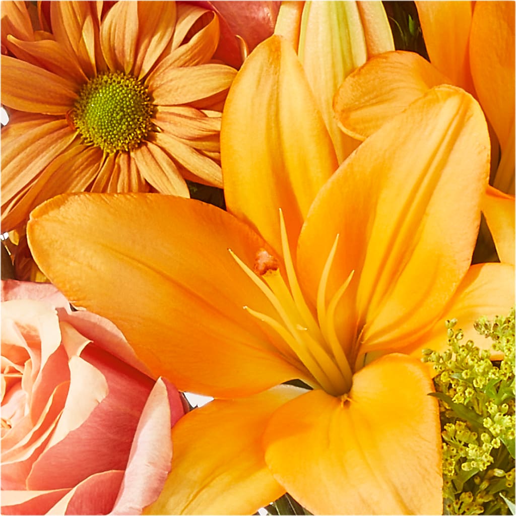 Harvest Hayride Bouquet –  Evans-king Floral, Forty Fort PA