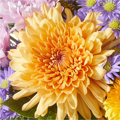 Countryside Bouquet –  Evans-king Floral, Forty Fort PA
