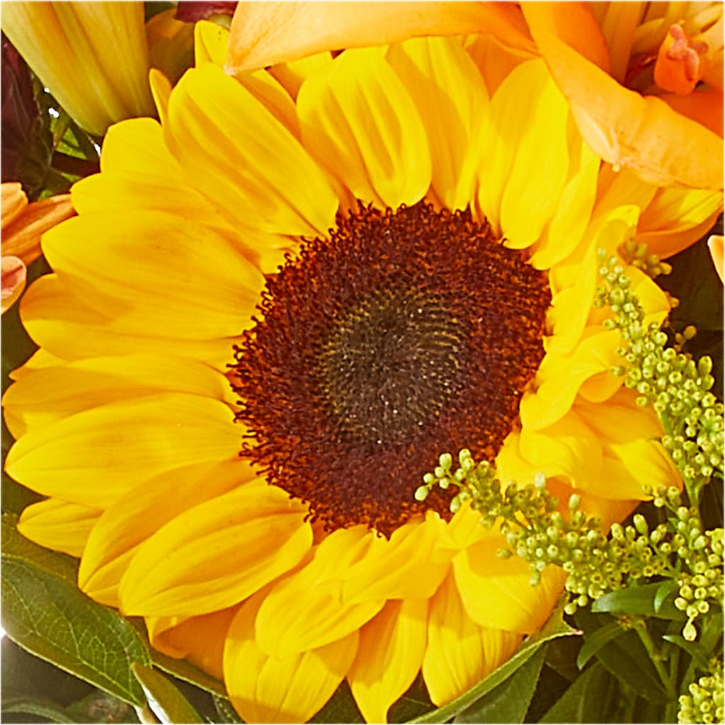 Seasons Change Bouquet –  Evans-king Floral, Forty Fort PA