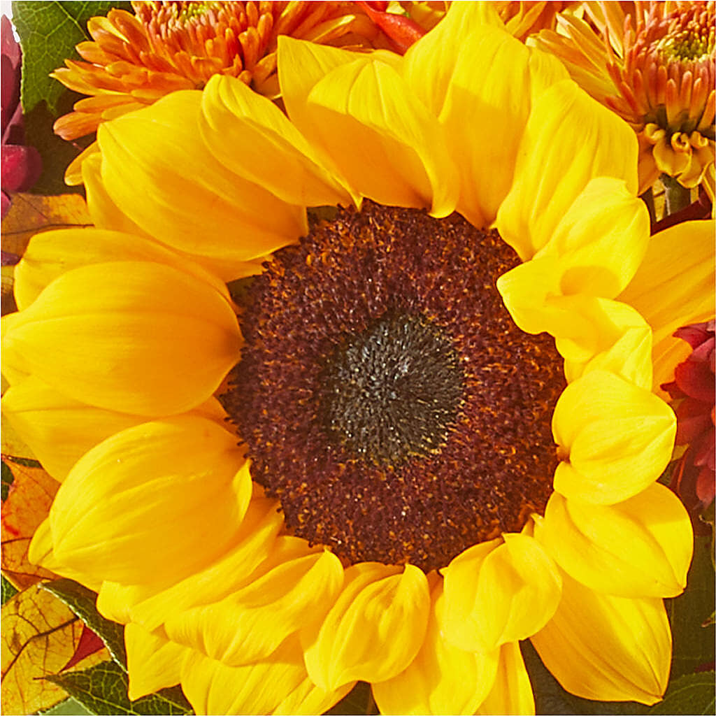 Sunny Side Bouquet –  Evans-king Floral, Forty Fort PA