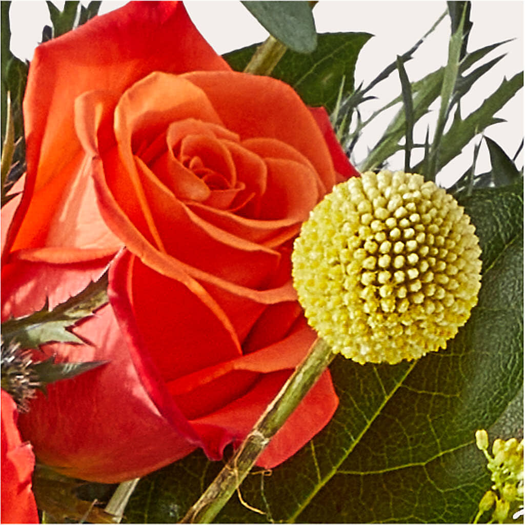 Disco Bouquet –  Evans-king Floral, Forty Fort PA