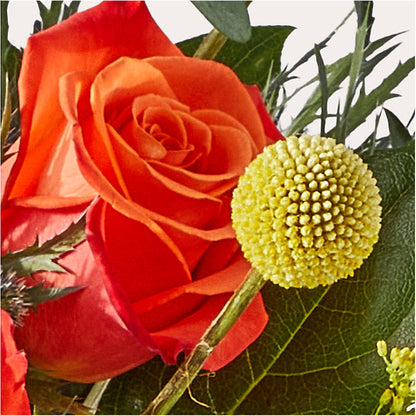 Disco Bouquet –  Evans-king Floral, Forty Fort PA
