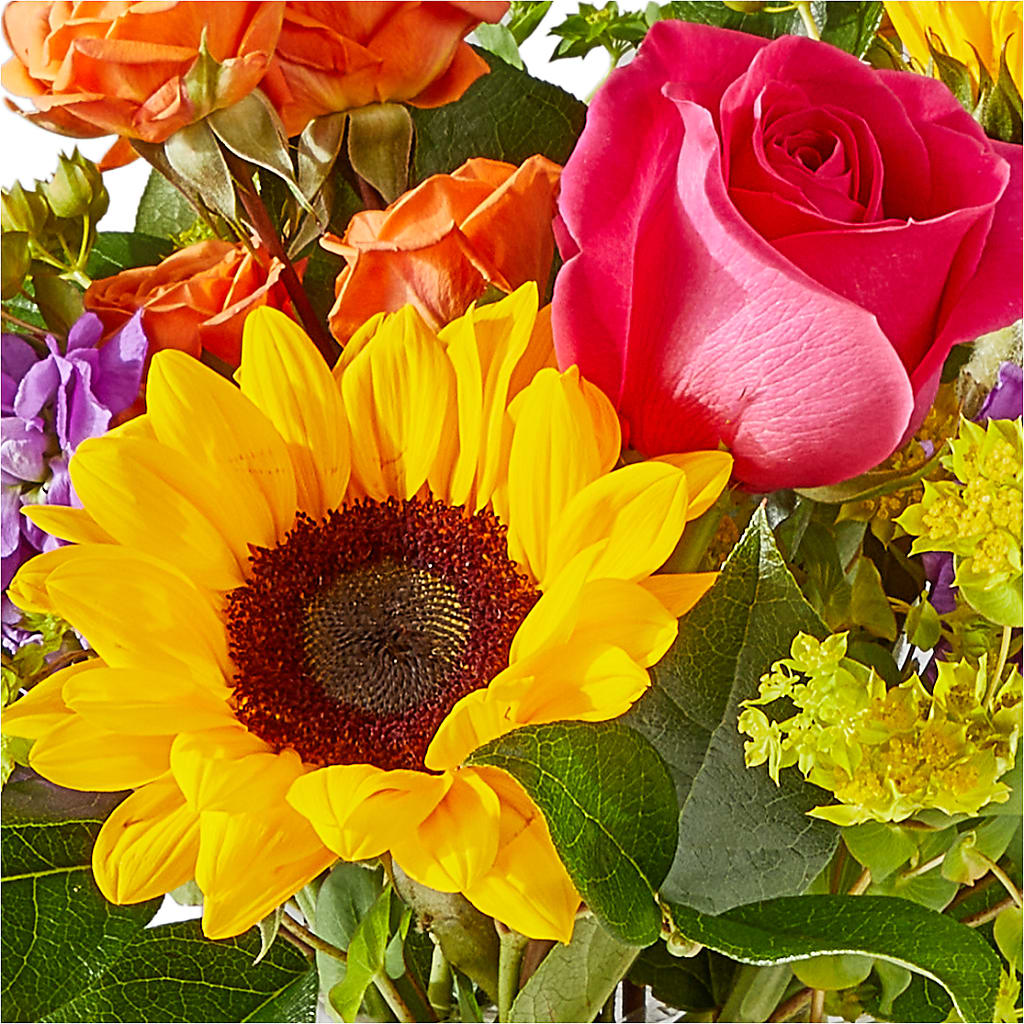 Vibrant Greetings Bouquet –  Evans-king Floral, Forty Fort PA