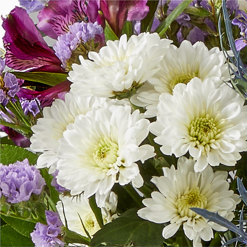 Shooting Star Bouquet –  Evans-king Floral, Forty Fort PA