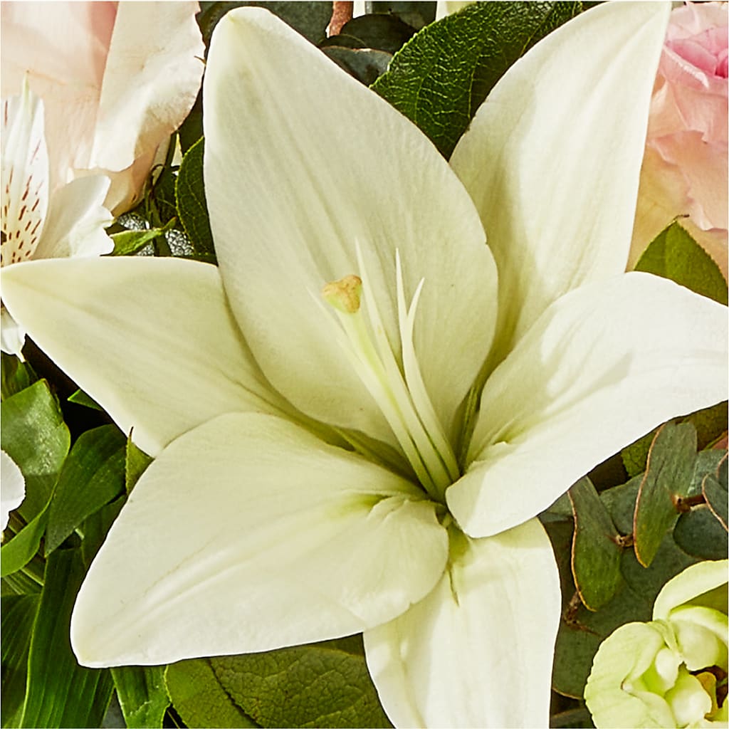 Ballet Slippers Bouquet –  Evans-king Floral, Forty Fort PA