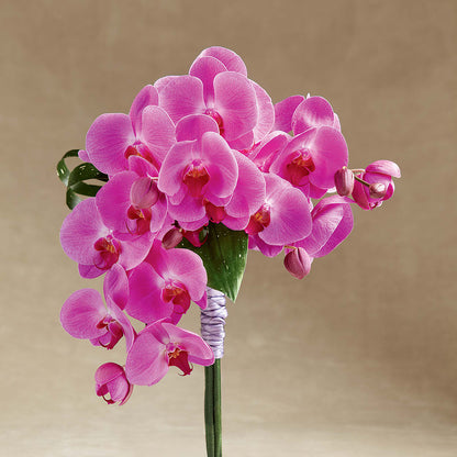 Glorious Bouquet –  Evans-king Floral, Forty Fort PA