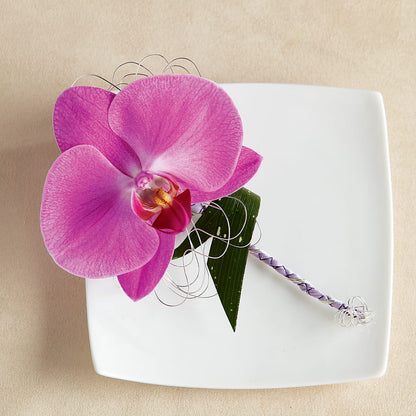 Glorious Boutonniere –  Evans-king Floral, Forty Fort PA