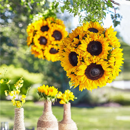 Sublime Garden Hanging Arrangement –  Evans-king Floral, Forty Fort PA