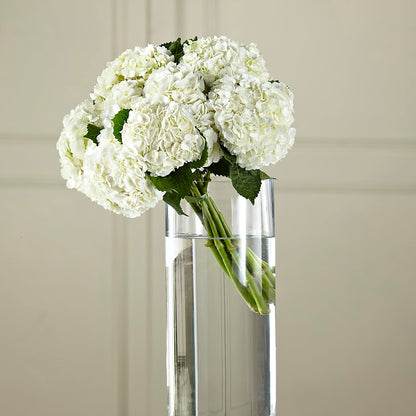 White Hydrangea Hand-Tied Bouquet –  Evans-king Floral, Forty Fort PA