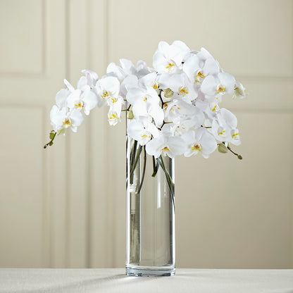 White Phalaenopsis Bouquet –  Evans-king Floral, Forty Fort PA