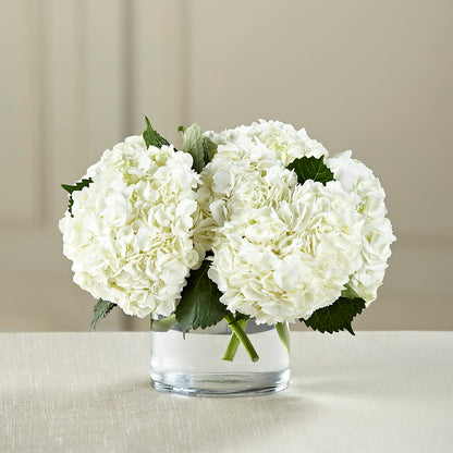 White Hydrangea Bouquet –  Evans-king Floral, Forty Fort PA