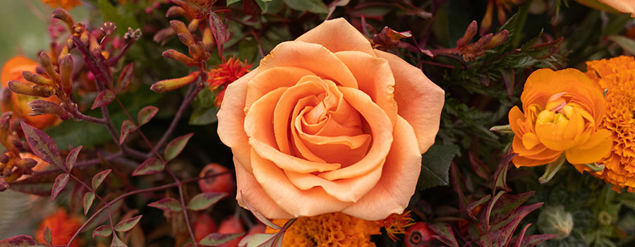 homepageBannerMetadata_Image_1789357193411.jpeg